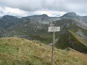 26_Dal benfit, Ferrante e Vigna Vaga